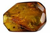 mm Fossil Fly (Diptera) In Baltic Amber #123351-1